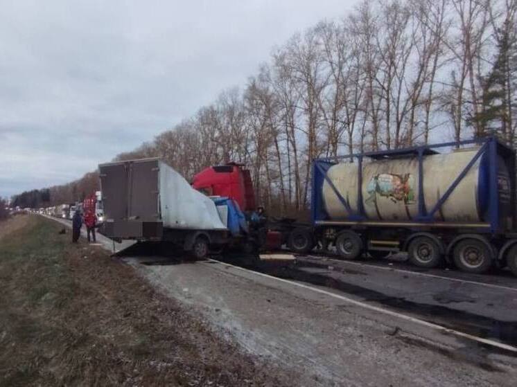 На трассе под Тверью произошла серьезная авария с грузовиками: движение перекрыто