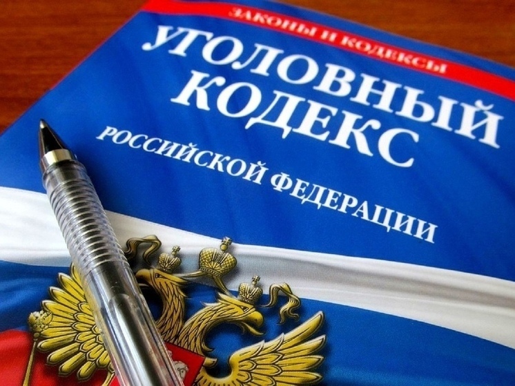 «Черные лесорубы», промышлявшие в Ивановской области, проведут в тюрьме немалые сроки