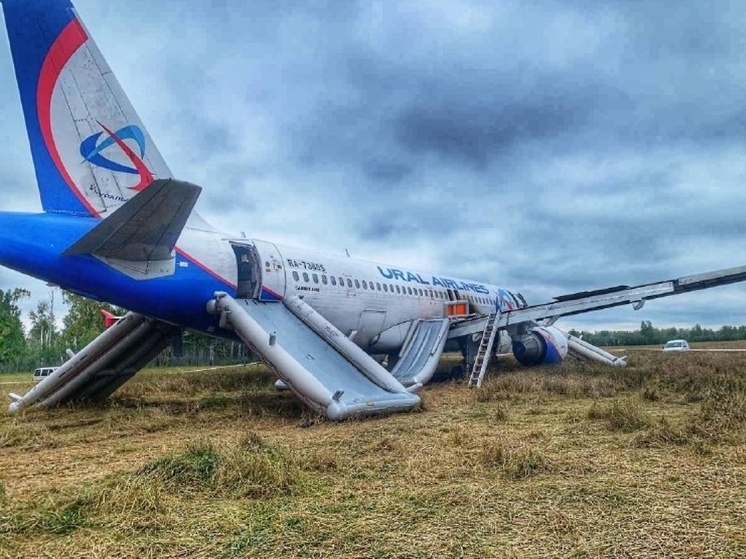 Дело омского пилота, посадившего самолёт на поле, вернули прокурору для доработки