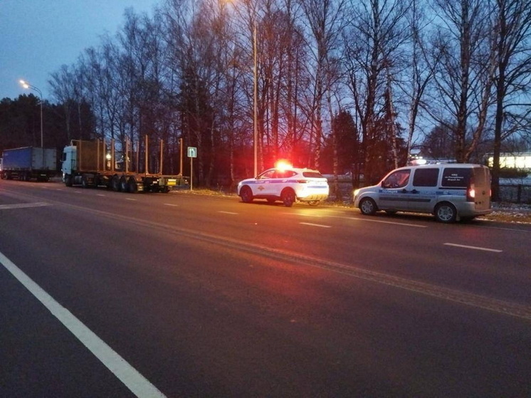 В Марий Эл водитель грузовика получил семь штрафов вдобавок к своим 64