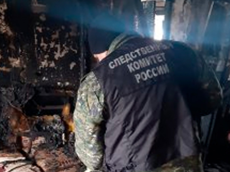 Липецкие следователи выясняют причины гибели мужчины в пожаре