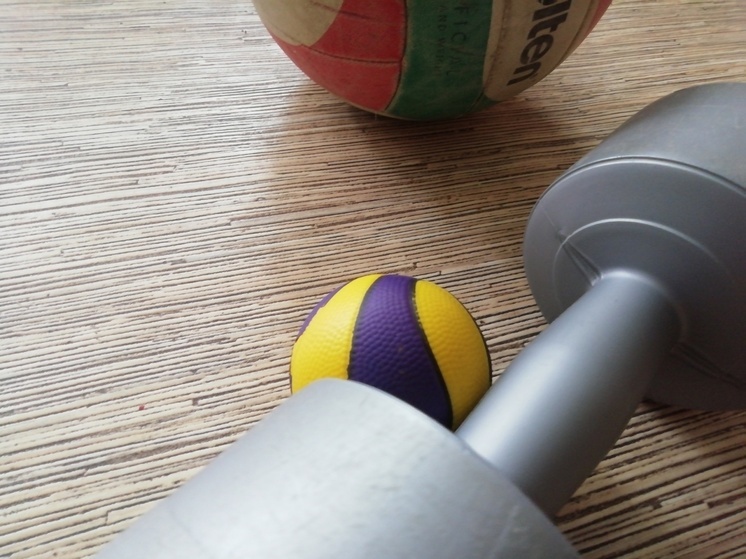 Ветераны СВО могут посетить бесплатные спортивные секции в Вологде