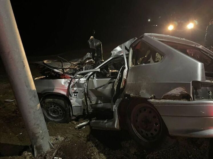 Под Астраханью 20-летний водитель погиб в ДТП с коровой и столбом