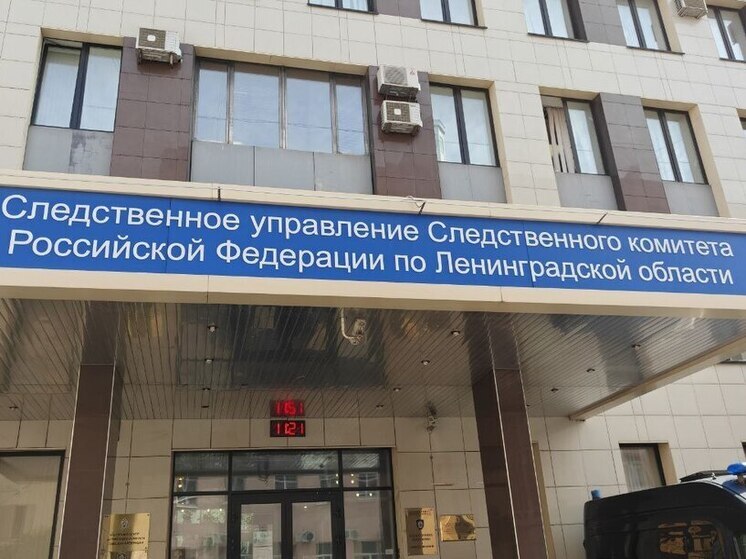 Из-за найденного в Выборгском заливе тела возбудили уголовное дело