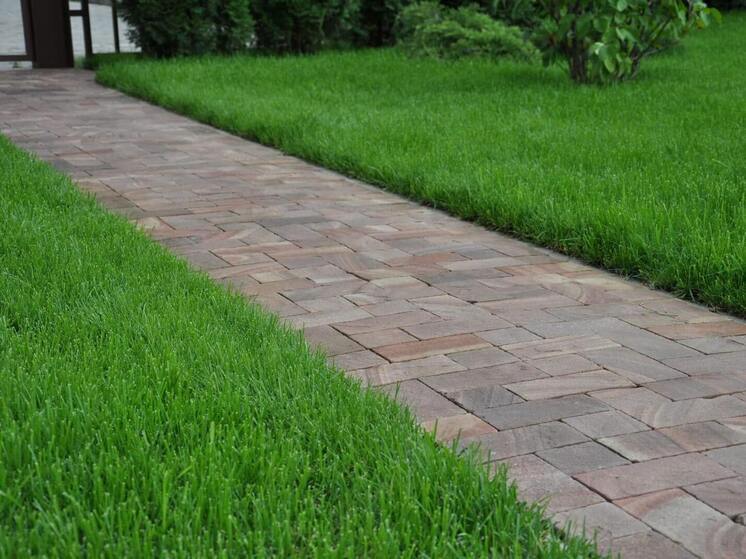 В Омске выделили 3,5 млн рублей на зелёные зоны и газоны