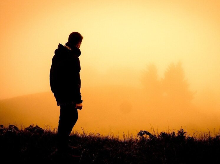 С начала года в поиски пропавших без вести объявили 1120 жителей Воронежской области