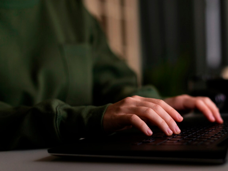 В Брянске осудили владельца сайта с аниме