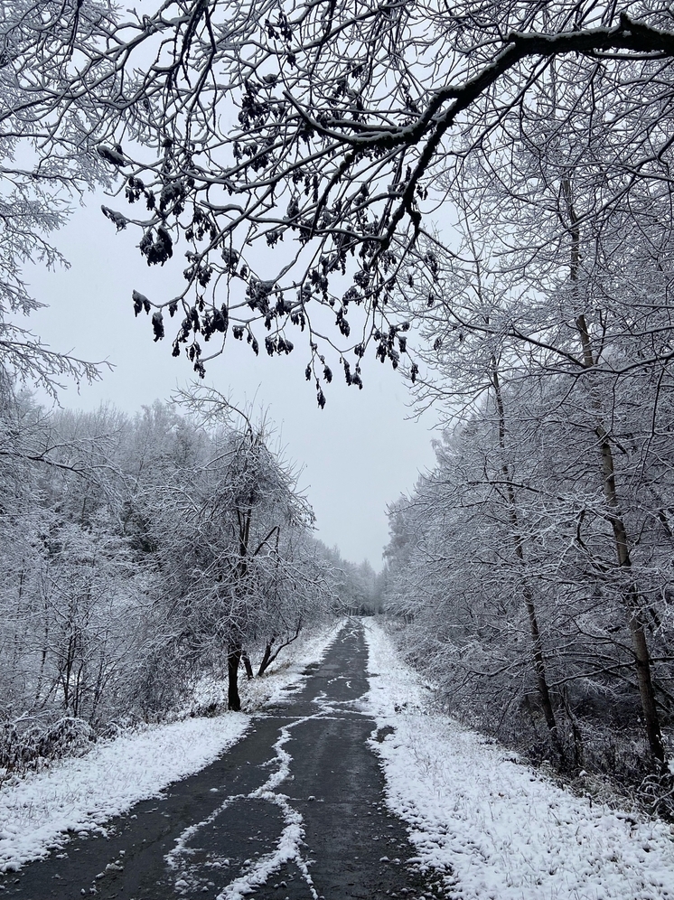 Метеоролог Сафонов: Будет пасмурно и с небольшими прояснениями, ночью до минус 3