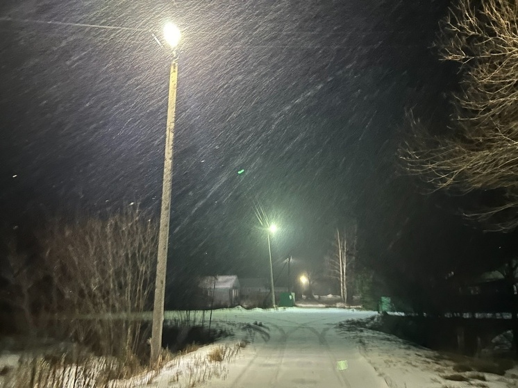 Отключение электроэнергии произошло в 35 населенных пунктах Вологодской области