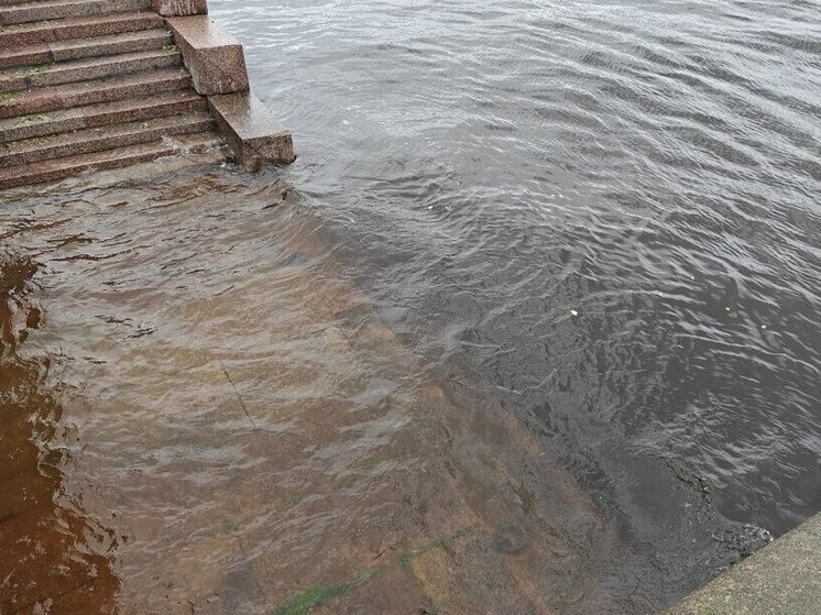 Петербуржцам напомнили о самом разрушительном наводнении в истории