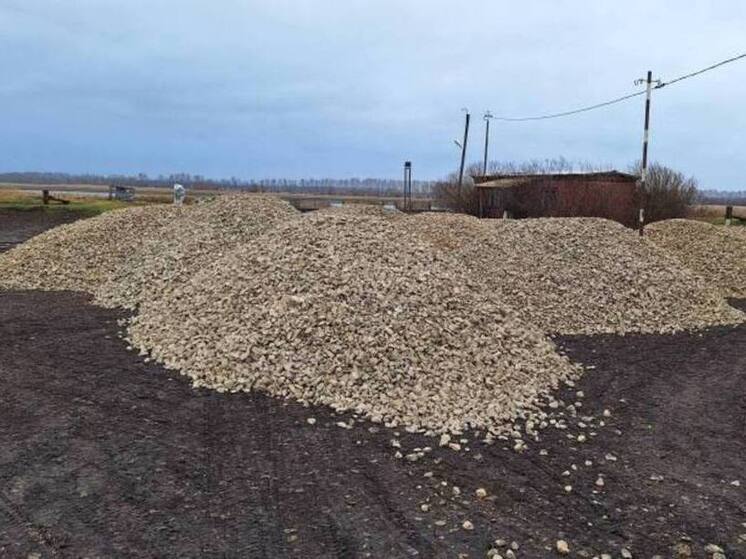 Первомайский «Клондайк»: как строитель похитил почти 400 тонн щебня в Тамбовской области