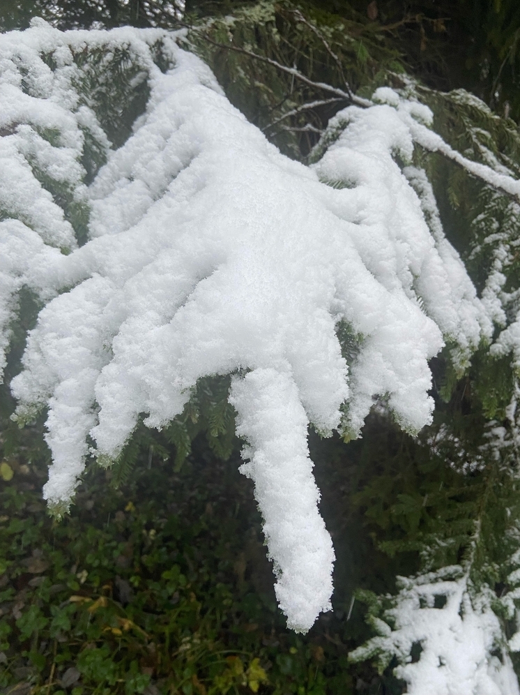 ФОНТАНКА: Температура в Санкт-Петербурге опустилась до минус пяти