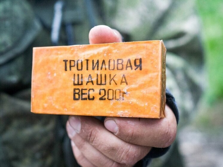 Мелитополец приговорен к 6 годам колонии за незаконное хранение взрывных устройств