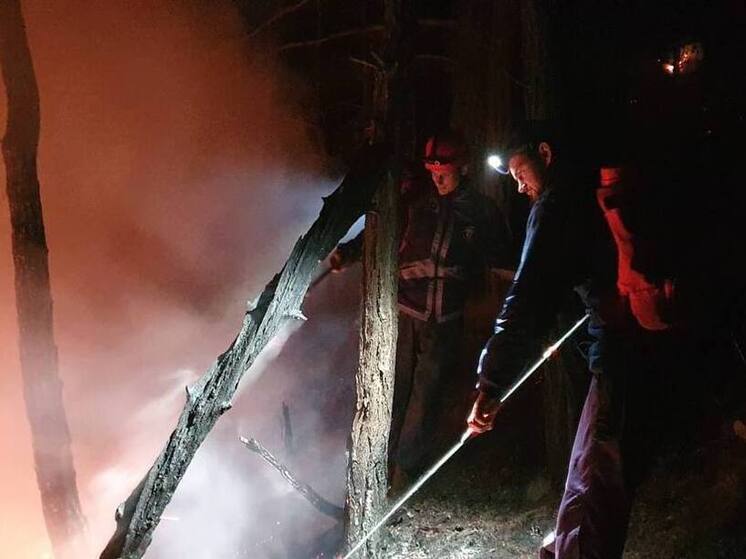 Лесной пожар под Архипо-Осиповкой локализован на площади 1 гектара