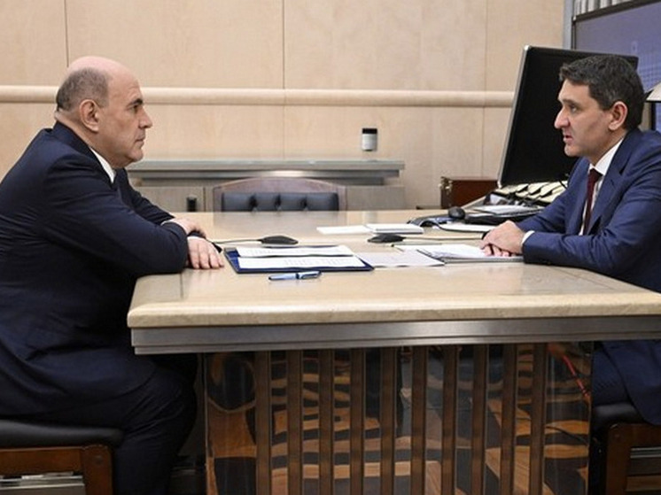 Мишустин и гендиректор ПАО «Россети» обсудили готовность к зиме в Херсонской области