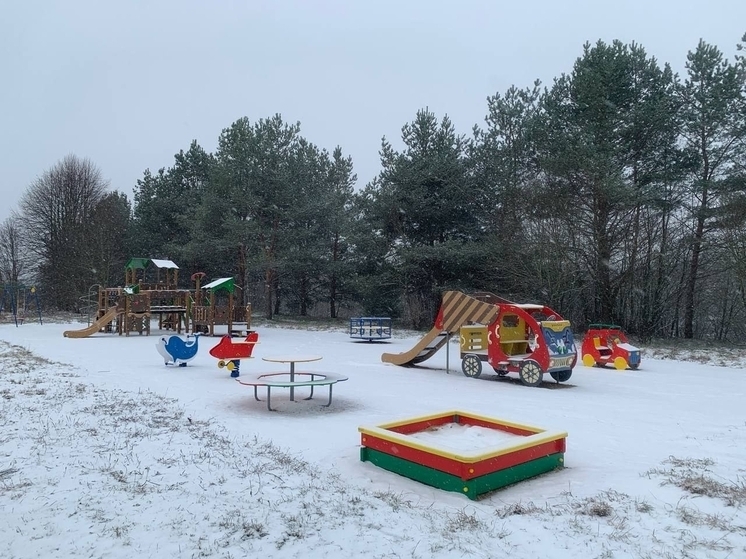 В Боровичском округе по практике «Народный бюджет» построили детскую площадку