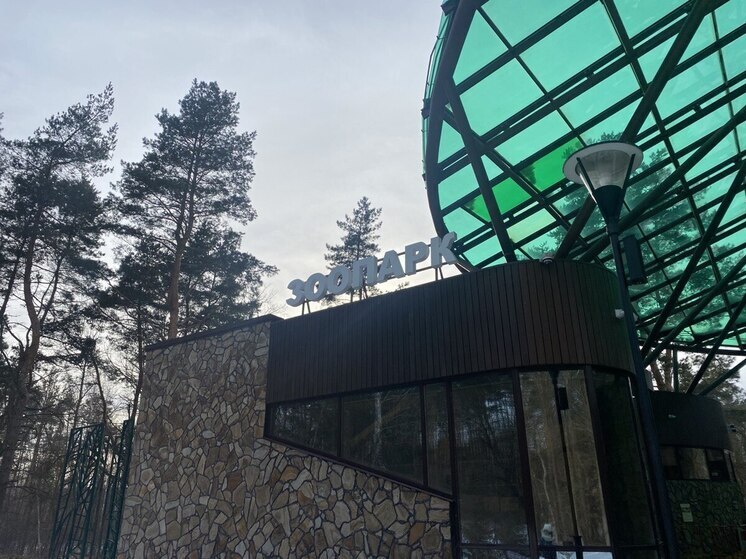 «Потрясающий секрет»: в зоопарк Белгорода приедет новое животное