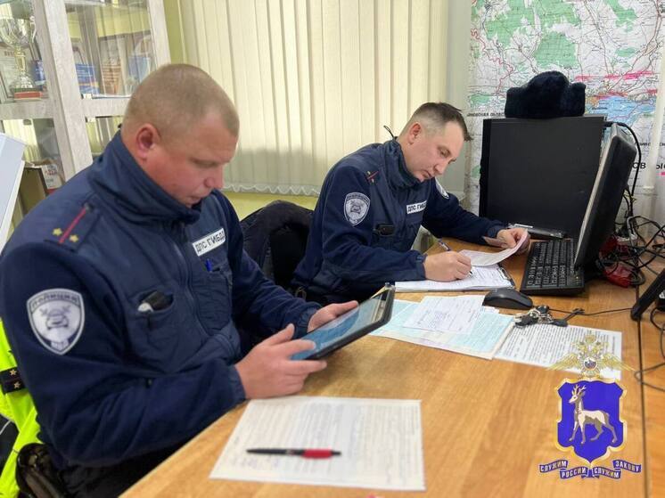 В Самарской области мужчина ограбил мать знакомого, чтобы позвонить возлюбленной