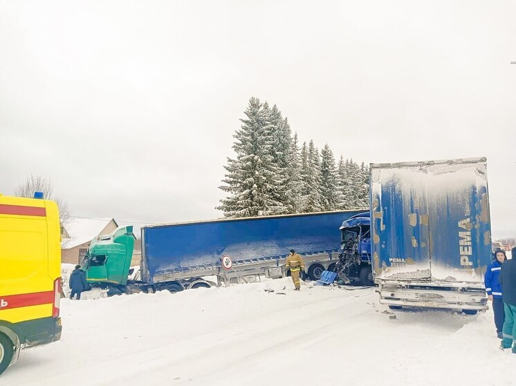 В Красноборском округе столкнулись два большегруза, есть пострадавшие