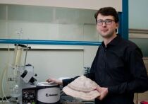 Ученые Уральского федерального университета нашли применение грибам, многие из которых прежде считались вредными или, как минимум, бесполезными