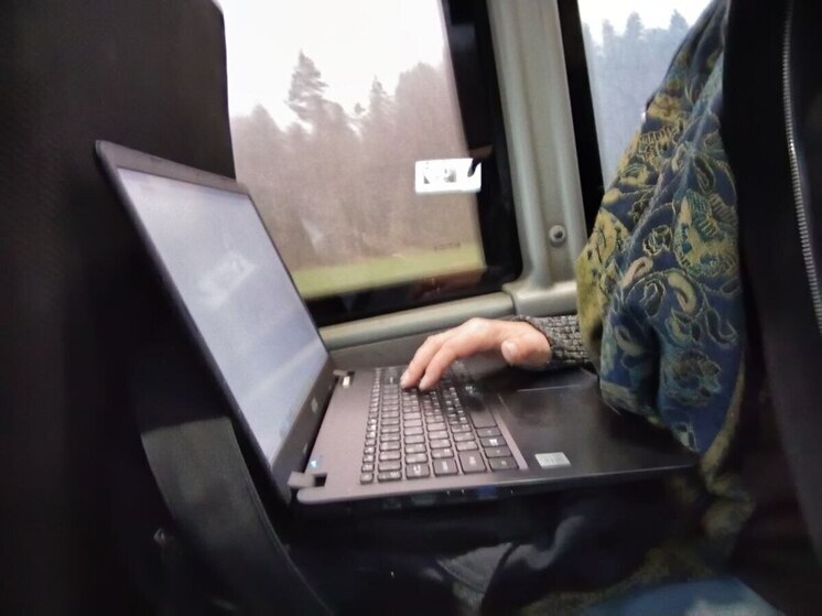 Количество обращений северян увеличилось на 83%