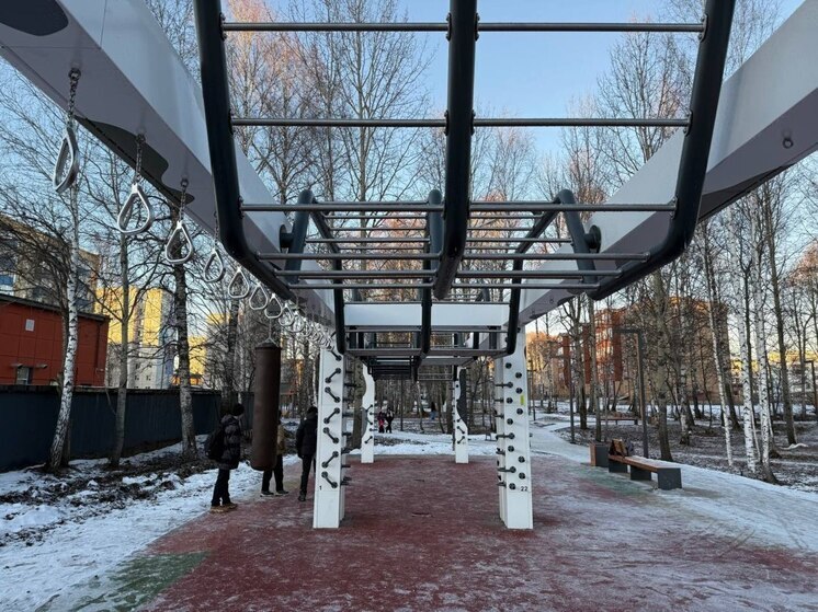 Тобольск преображается: в сквере «Спортивный» появился уличный «Ниндзя Парк»