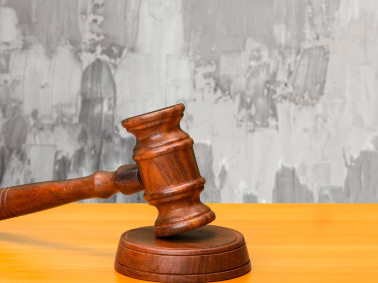 61-летнего брянца осудили за незаконную продажу боеприпасов