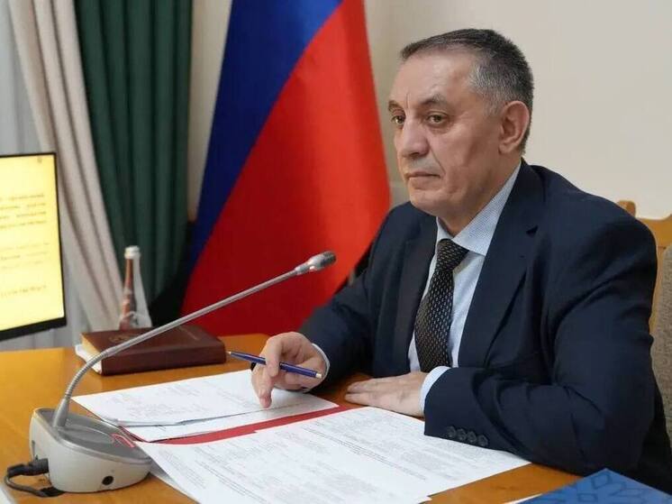 Семь некоммерческих организаций выиграли гранты главы Дагестана