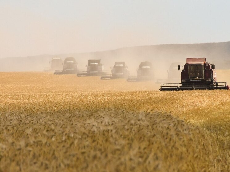На поддержку сельского хозяйства в Крыму выделили 207 млн рублей