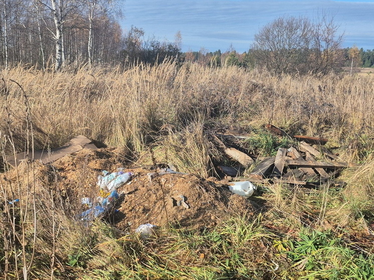 В Волжском районе Марий Эл обнаружена незаконная свалка