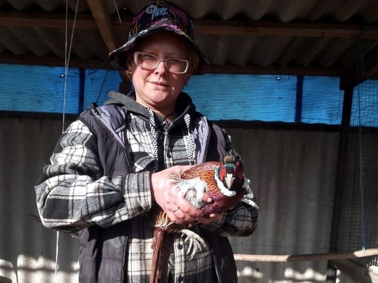 Белгородка занялась разведением фазанов по соцконтракту