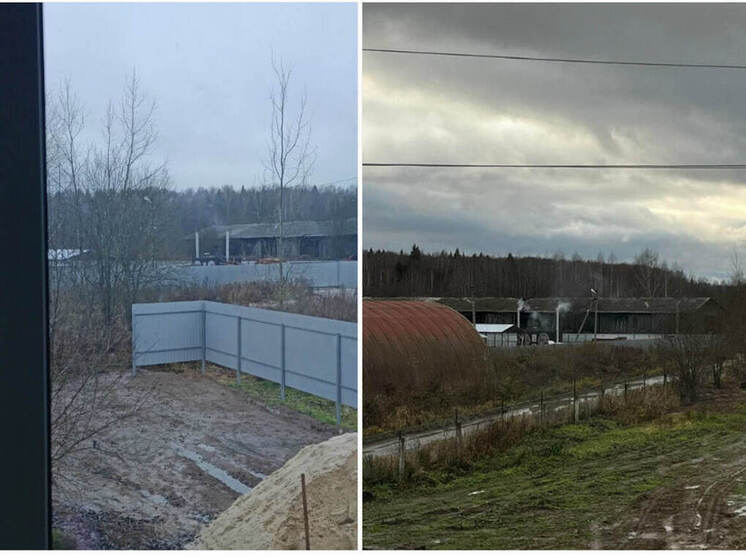 Жители деревни в Марий Эл пожаловались на вредный дым, и их услышали