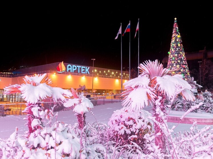 Увеличены сроки приема заявок на участие в 15-й новогодней смене международного детского центра «Артек»