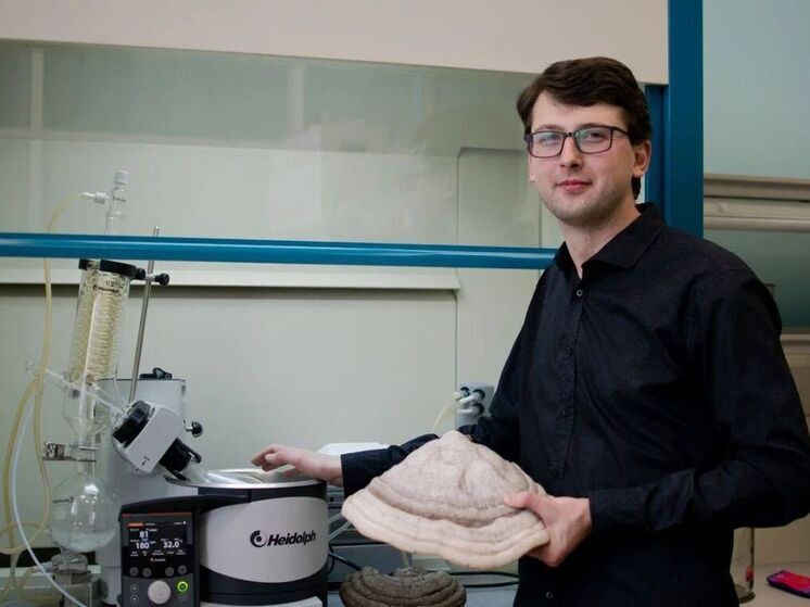 Уральские ученые нашли способ прокормить человечество с помощью грибов-паразитов