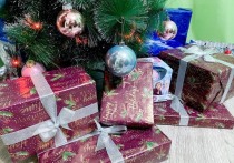 Специалисты Авито выяснили, как жители Омска готовятся к новогодним праздникам