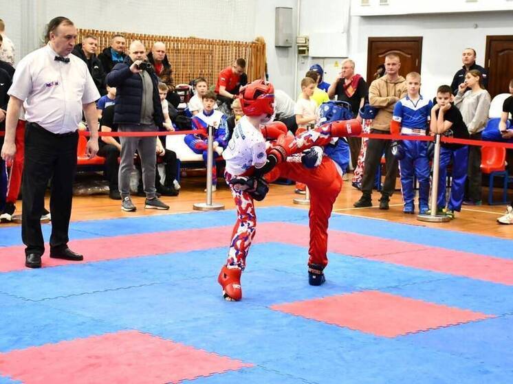 Чемпионат и первенство Вологодской области по кикбоксингу пройдут в Череповце
