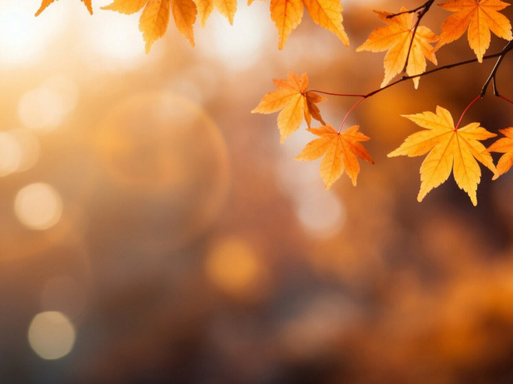 Дожди и 17 градусов тепла прогнозируют в Херсонской области 20 ноября