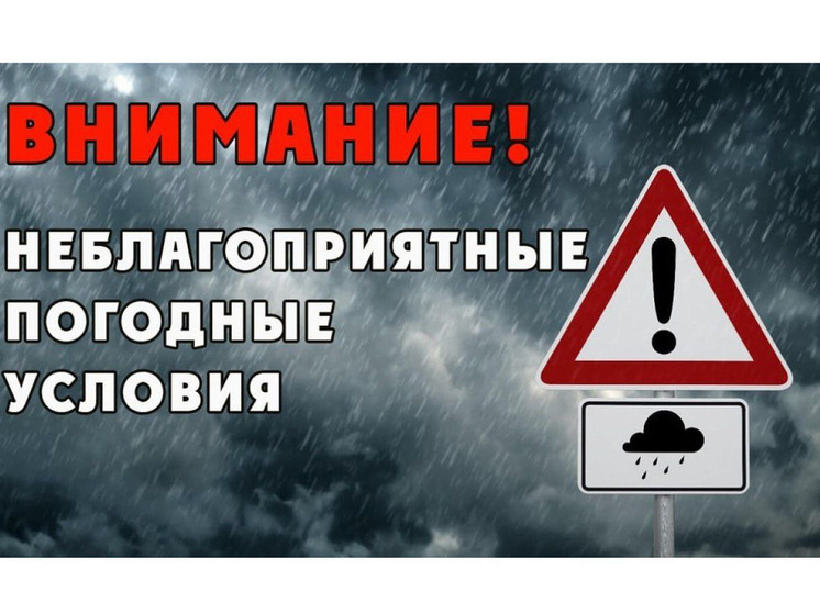 МЧС предупреждает: Югру накроют метели