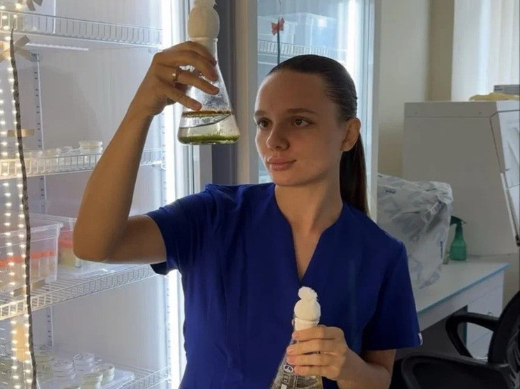 Два токсичных штамма цианобактерий обнаружили в московских водоемах ученые Института физиологии растений имени К