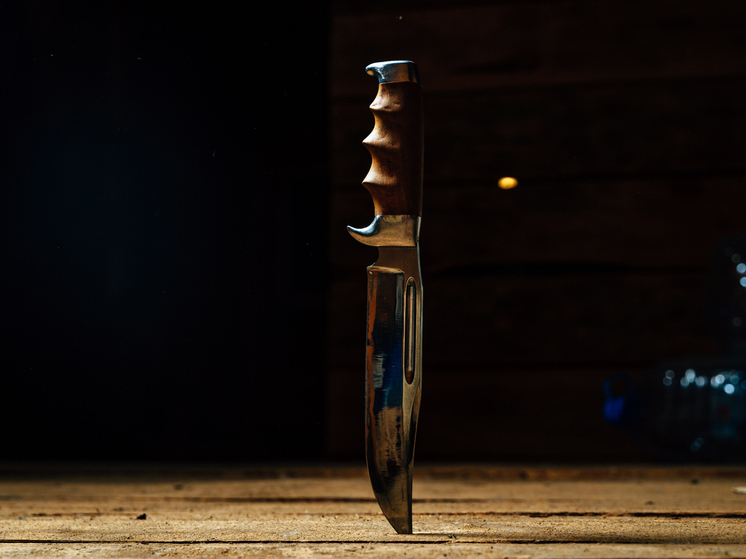 Жительница Тверской области, ударившая сожителя ножом в сердце, получила 6 лет колонии