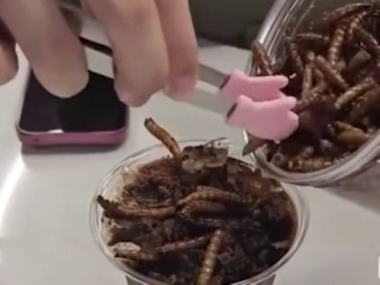 В Китае запустили линейку экзотических напитков из насекомых