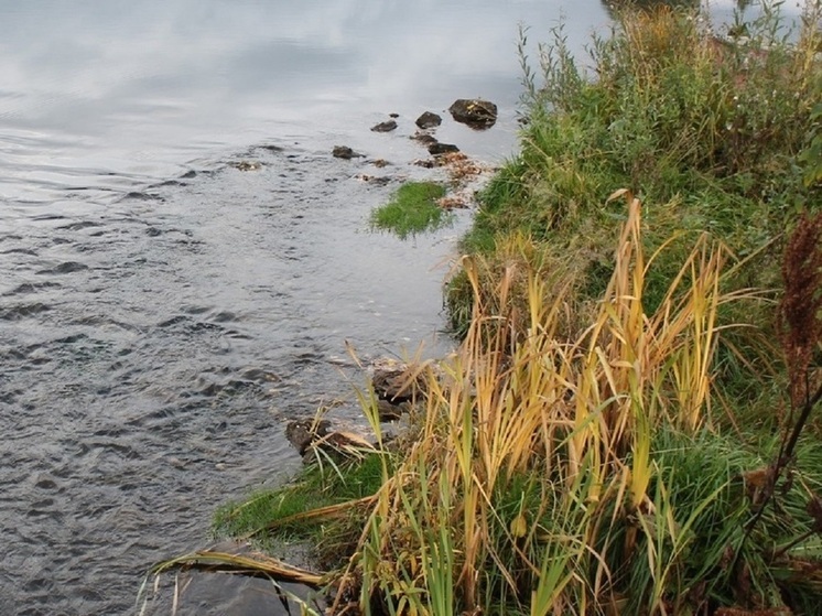 «Удмуртнефть» оштрафовали за загрязнение реки в Игринском районе
