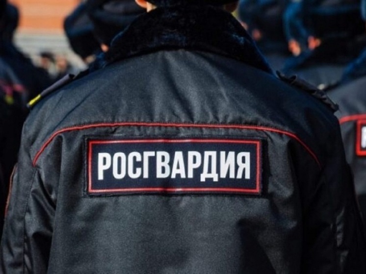 Росгвардейцы в Камышине задержали девушку, похитившую деньги с чужой карты