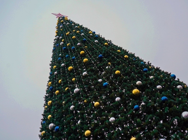 К покупке угощений для новогоднего застолья покупатели могут приступить уже сейчас