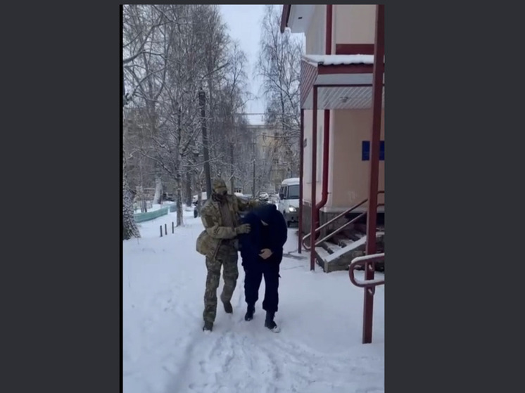 Северодвинца задержали за публичное оправдание терроризма