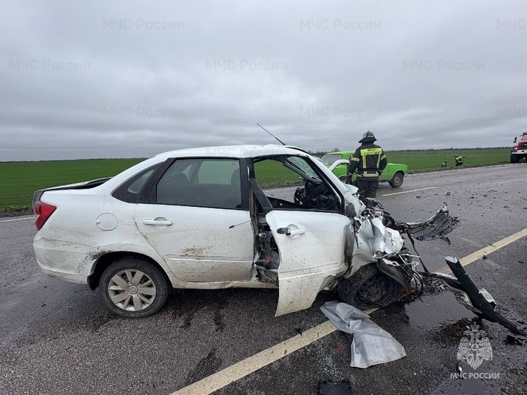 На трассе в Херсонской области разбилась легковушка