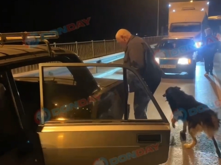 В Ростовской области мужчина тащил собаку по дороге, привязав ее к бамперу автомобиля