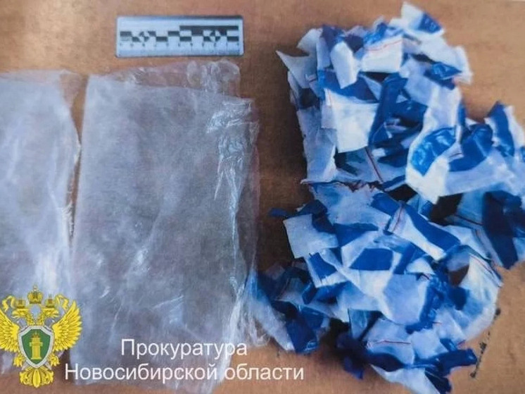 Трое новосибирцев получили до 11,5 лет колонии за попытку сбыта героина и метадона через «закладки»