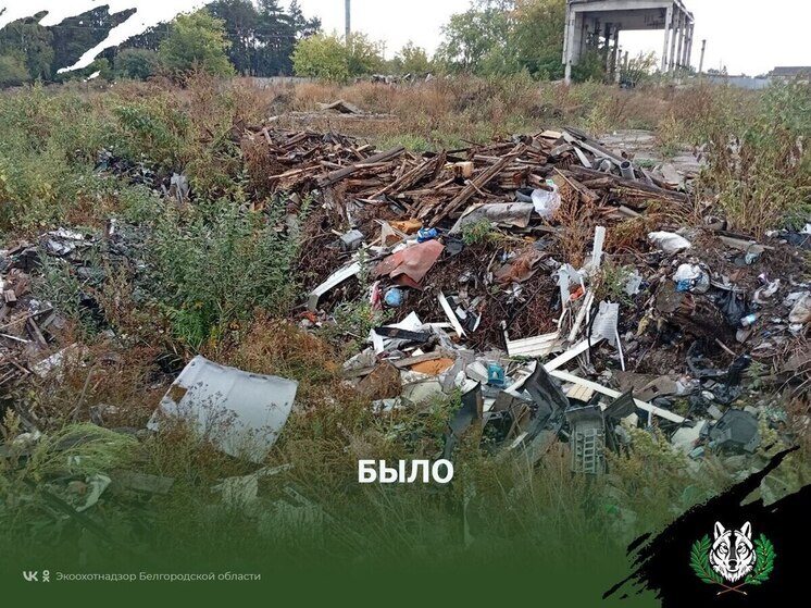 В Грайворонском округе работают над ликвидацией свалок