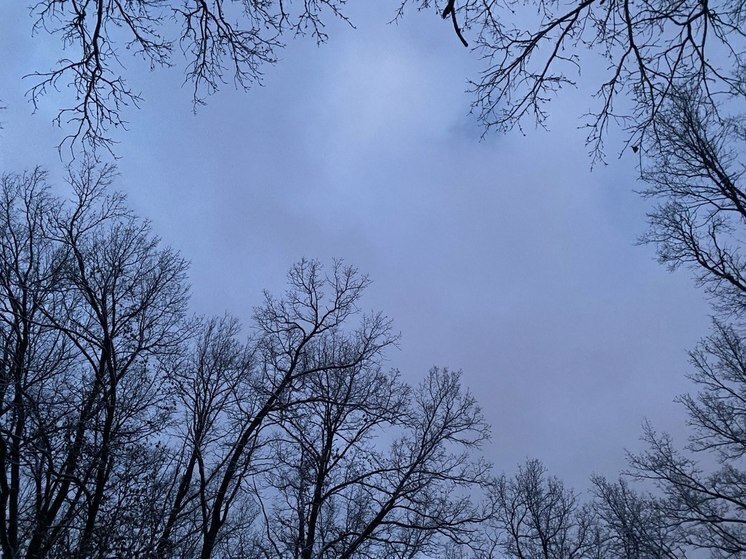 Белгородцев ждут небольшие дожди в четверг